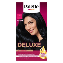 Load image into Gallery viewer, Palette Hair Dye Deep Black, Blue-Black, Blonde, Brown, Chocolate,Golden Chesnut