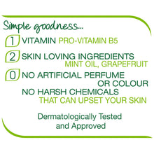 Load image into Gallery viewer, Simple Kind to Skin Gentle Care Hand Wash Anti-Bacterial - 250ml, 3 or 6 Pack