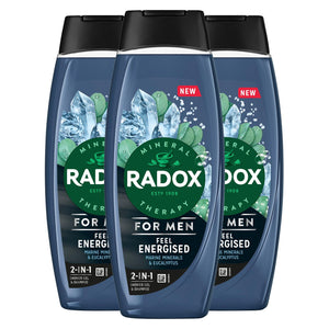 3x Radox Mineral Therapy Feel Energised 2in1 Shower Gel & Shampoo for Men, 450ml