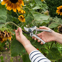 Load image into Gallery viewer, Kent &amp; Stowe Surecut All Purpose Lite Bypass Secateurs with Carbon Steel Blades