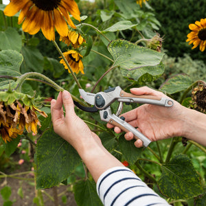 Kent & Stowe Surecut All Purpose Lite Bypass Secateurs with Carbon Steel Blades