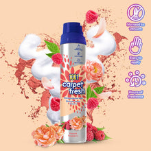 Load image into Gallery viewer, 1001 Carpet Fresh Peony &amp; Raspberry Upholstery Odour Remover Spray, 6x300ml