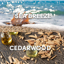 Load image into Gallery viewer, Impulse Body Mist Sunkissed Dreamer with Sea Breeze &amp; Cedarwood Scent 100ml, 6pk
