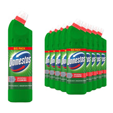 Load image into Gallery viewer, Domestos Thick Bleach Mountain Fresh Powerful Toilet &amp; Bathroom Cleaner 1L, 12pk