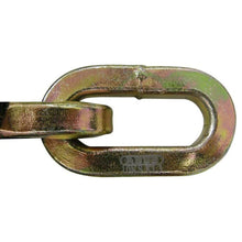 Load image into Gallery viewer, 10KS/110 Security Chain Length 110cm Link Diameter 10mm