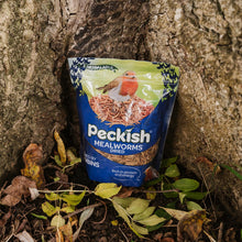 Load image into Gallery viewer, Peckish Mealworms Natural High-Protein Wild Bird Food for Year-Round Feeding 1kg