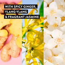 Load image into Gallery viewer, Impulse Empower Body Fragrance Mist Spicy Ginger, Ylang-Ylang &amp; Jasmine, 3x150ml