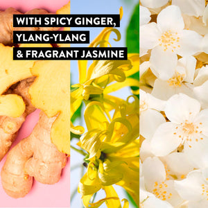 Impulse Empower Body Fragrance Mist Spicy Ginger, Ylang-Ylang & Jasmine, 3x150ml