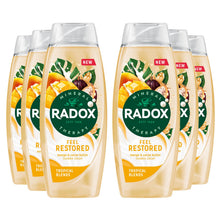 Load image into Gallery viewer, Radox Mineral Therapy Feel Restored Shower Cream with Cocoa Butter 450ml, 6 Pack