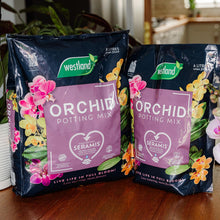 Load image into Gallery viewer, Westland Orchid Potting Mix Peat Free Enriched with Seramis, 8 Litre
