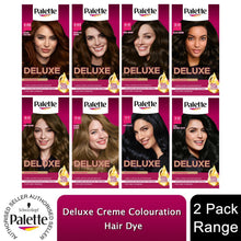 Load image into Gallery viewer, Palette Hair Dye Deep Black, Blue-Black, Blonde, Brown, Chocolate,Golden Chesnut