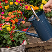 Load image into Gallery viewer, Westland Boost All Purpose Liquid Plant Feed for Healthy Growth 3 Litre