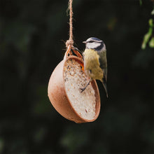 Load image into Gallery viewer, Peckish Natural Balance Coco-Nots 100% Compostable &amp; Biodegradable, 4 Pack