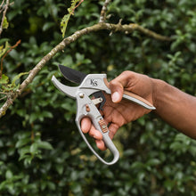 Load image into Gallery viewer, Kent &amp; Stowe Surecut Hardwood Lite Anvil Secateur with Carbon Steel Blades