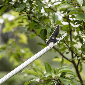 Kent & Stowe KS Surecut Long Reach Pruner, 1.3m - 10mm Cutting Diameter