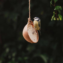 Load image into Gallery viewer, Peckish Natural Balance Coco-Nots 100% Compostable &amp; Biodegradable, 4 Pack