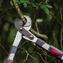 Load image into Gallery viewer, Kent &amp; Stowe Tele Geared Telescopic Anvil Lopper Pruner 5 Positions 63cm-83cm