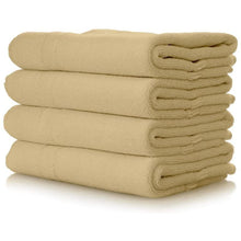 Load image into Gallery viewer, DYLON Hand Fabric Dye Sachet, Sandy Beige, 2 Packs of 50g