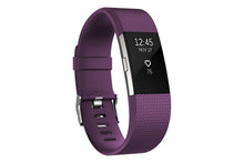 Load image into Gallery viewer, Fitbit Charge 2 Classic Adjustable Replacement Straps - Small | Large