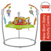 Load image into Gallery viewer, Fisher-Price Roaring Rainforest Jumperoo, with Music and Lights