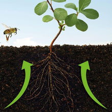 Load image into Gallery viewer, Growing Success Bug Stop Natural Power Spray Organic 800ml RTU