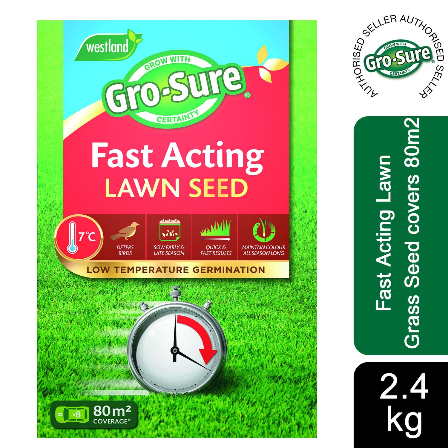 Gro Cover Gro-sure Fast Acting Lawn Grass Seed covers 80m2, 2.4kg Box – Avant ...