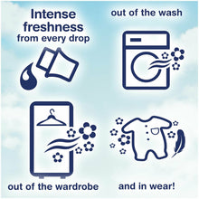 Load image into Gallery viewer, Persil 24w Non-Bio 2 packs with 1 pack of Comfort Pure Fabric Conditioner