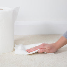 Load image into Gallery viewer, 1001 Pet Stain Remover 500ml Spray x6, Tough on Pet Stains, Gentle on Carpets