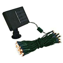 Load image into Gallery viewer, Dusk Till Dawn Solar Powered 50 or 100 LED String White Lights, White or Amber