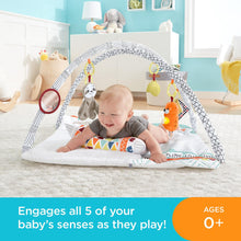 Load image into Gallery viewer, Fisher-Price Perfect Sense Deluxe Gym