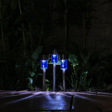 Load image into Gallery viewer, Solar Crystal Garden or Home Rose Light Lamp