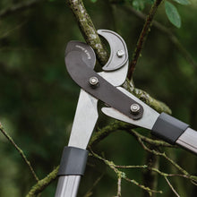Load image into Gallery viewer, Kent &amp; Stowe Tele Geared Telescopic Anvil Lopper Pruner 5 Positions 63cm-83cm
