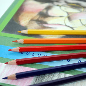 Berol Colouring Pencils Verithin Pre-Sharpened Assorted Colours 288 Pack