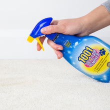 Load image into Gallery viewer, 1001 Pet Stain Remover 500ml Spray x6, Tough on Pet Stains, Gentle on Carpets