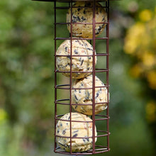 Load image into Gallery viewer, Peckish Extra Goodness Bird Feed Feeding Energy Ball Extra Protein Seeds 50Pack