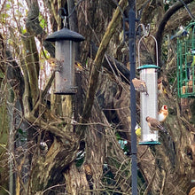 Load image into Gallery viewer, Peckish Bird Feeder All Weather Large Nyjer Quick release Base 30cm