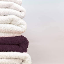 Load image into Gallery viewer, DYLON Hand Fabric Dye Sachet, Plum Red, 2 Packs of 50g