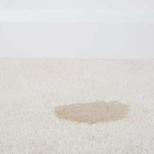 1001 Pet Stain Remover 500ml Spray x6, Tough on Pet Stains, Gentle on Carpets
