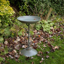 Load image into Gallery viewer, Peckish Secret Garden Bird Bath Ornate 60cm Height