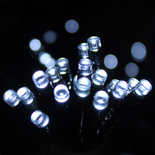 Load image into Gallery viewer, Dusk Till Dawn Solar Powered 50 or 100 LED String White Lights, White or Amber