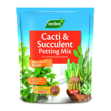 Load image into Gallery viewer, Westland Cacti &amp; Succulent Potting Mix Blen Enriched with Seramis 4L 1.5kg