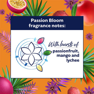 Surf Washing Liquid 24w & Comfort Fabric Conditioner 55w  Passion Bloom  Summer Fragrance Bundle