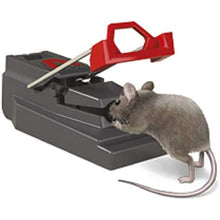 Load image into Gallery viewer, Deadfast Power Kill Mouse Trap Rodent Control Indoor &amp; Outdoor Twin 2 Pack