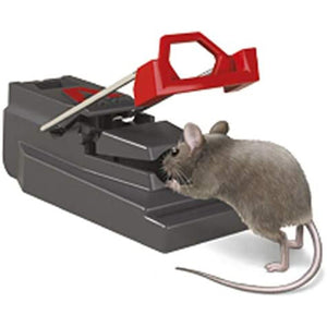 Deadfast Power Kill Mouse Trap Rodent Control Indoor & Outdoor Twin 2 Pack