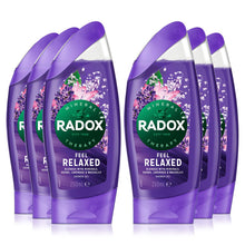 Load image into Gallery viewer, Radox 100% Nature Inspired Fragrance Shower Gel, Feel Relaxed, 6 Pack, 250ml