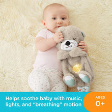 Load image into Gallery viewer, Fisher-Price Soothe &amp; Snuggle Otter