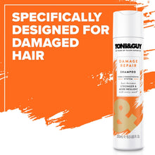Load image into Gallery viewer, 6 Pack of 250ml Toni &amp; Guy Damage Repair Shampoo for Damaged Hair