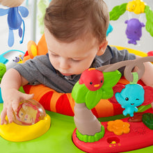 Load image into Gallery viewer, Fisher-Price Roaring Rainforest Jumperoo, with Music and Lights
