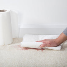 Load image into Gallery viewer, 1001 Carpet Stain Remover 500ml Spray x6, Tough on Stains, Gentle on Carpets