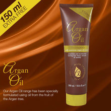 Load image into Gallery viewer, Argan Oil Shampoo with Moroccan Argan Oil Extract 300ml